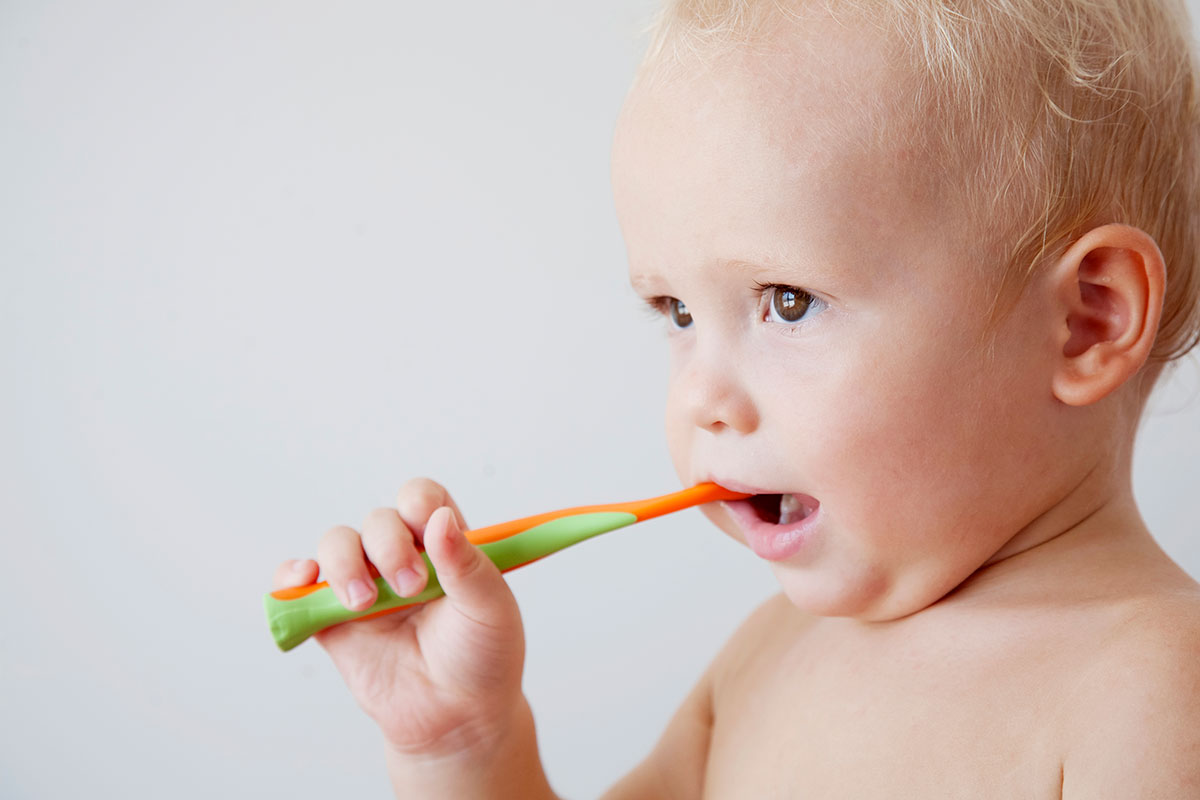 Gifrer Le premier brossage de dents de bébé Gifrer